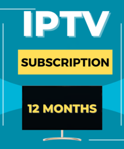 12 Months Subscription